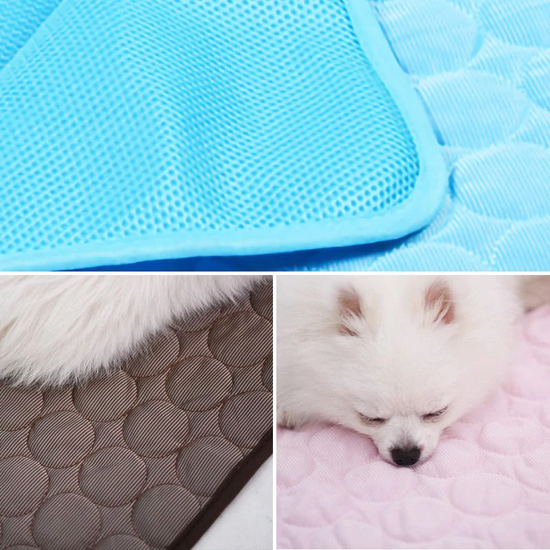 Airweave Dog Bed | Small Dog Bed from Airweave