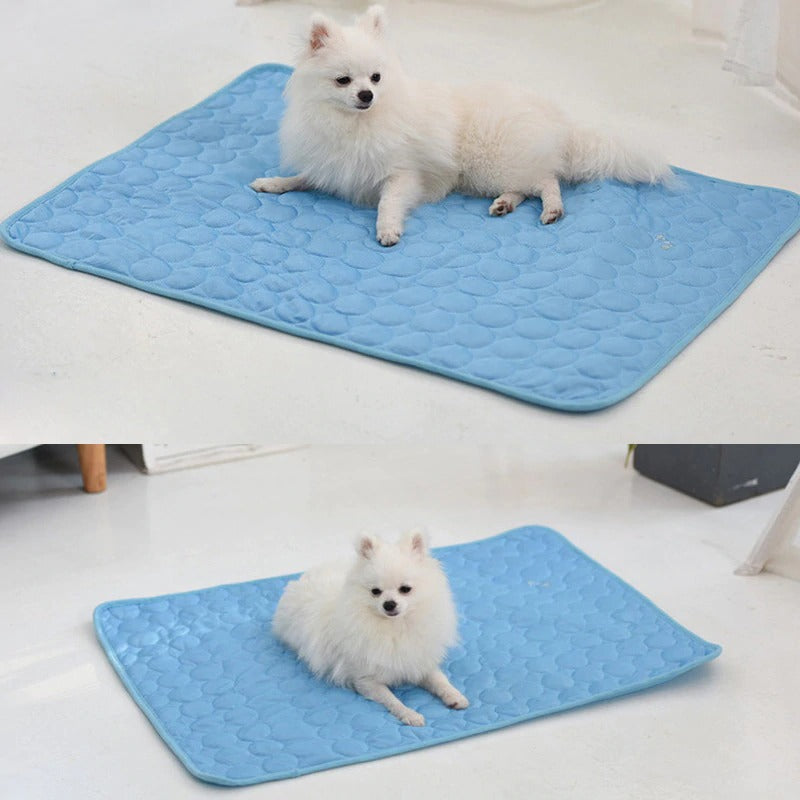 Airweave Dog Bed | Small Dog Bed from Airweave