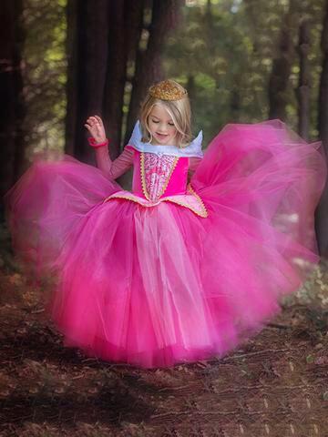 Sleeping Beauty Princess Dress