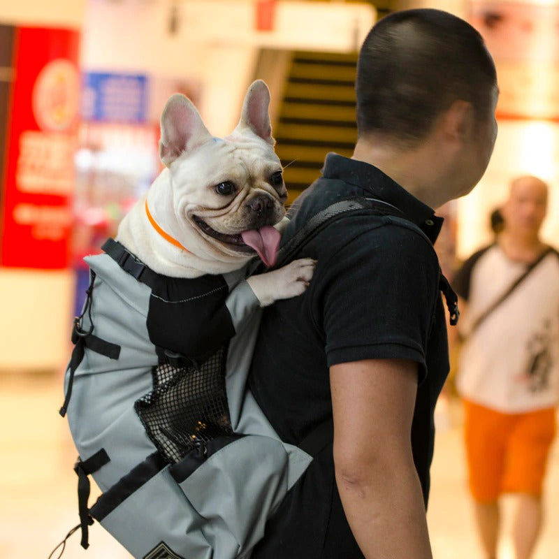 Adjustable Dog Outdoor Travel Backpack