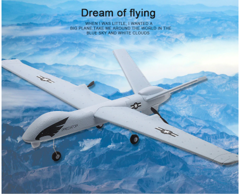 RC Plane | Remote Control Plane Predator Z51