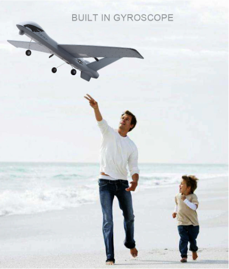 RC Plane | Remote Control Plane Predator Z51