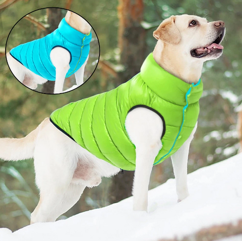 dog-winter-coats
