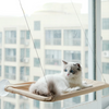 Image of cat-window-perch