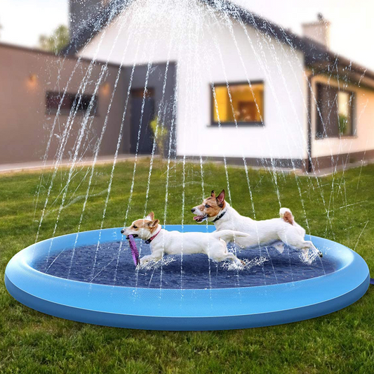 dog-splash-pad