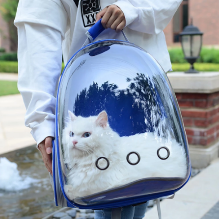 Bubble-Backpack-Cat