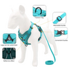 Image of dog-harness-no-pull