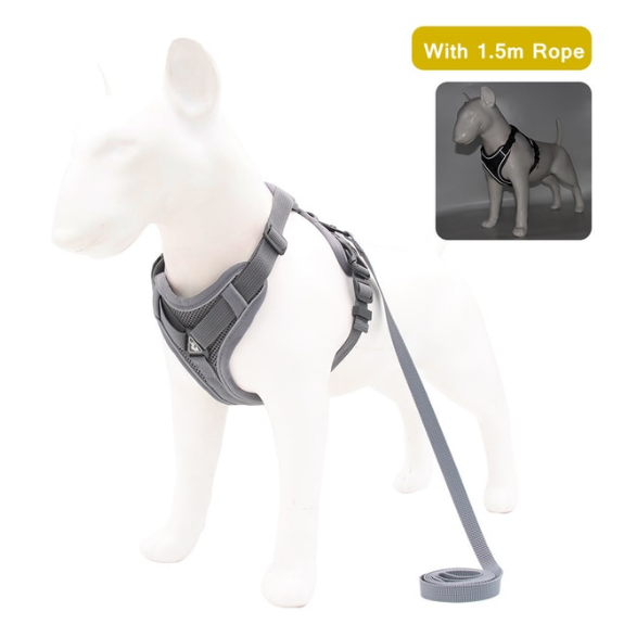 Dog Harness No Pull Leash Set Adjustable Best Dog Harness For Pulling Freedom No Pull Harness For Small Dogs