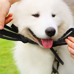 Dog Muzzle For Small Medium And Large Soft Dog Muzzle Anti Bark Bite Chew Pet Accessories