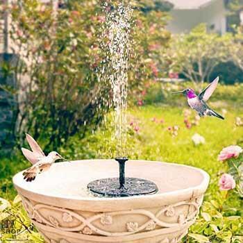 Solar-Powered Easy Bird Fountain Kit - BalmaHome