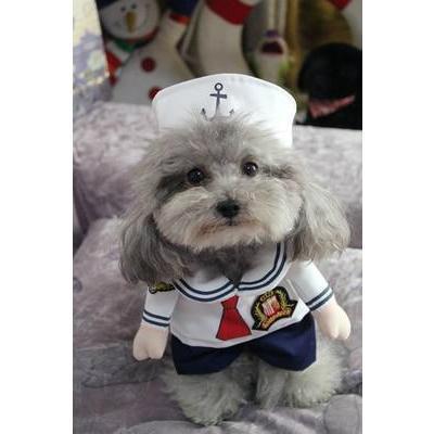 Funny Dog Costume - Balma Home