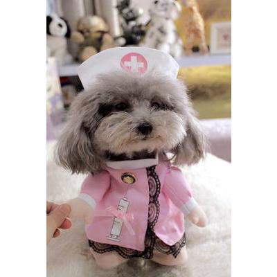 Funny Dog Costume - Balma Home