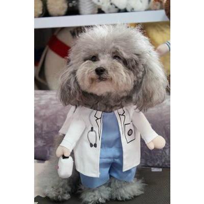 Funny Dog Costume - Balma Home