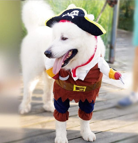 Funny Dog Costume - Balma Home