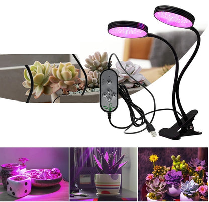 indoor grow lights