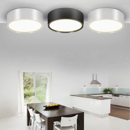 Dimmable Modern Minimalist LED Round Shaped Acrylic Flush Mount Ceiling Light