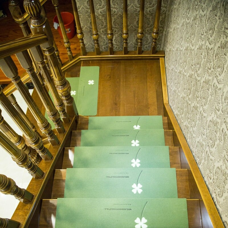 Set of 2 Non-Slip See Through Carpet Stair Treads