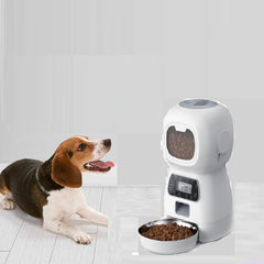 Smart Automatic Cat Feeder Schedule Timed Cat Feeder 3.5 L Smart Cat Feeder