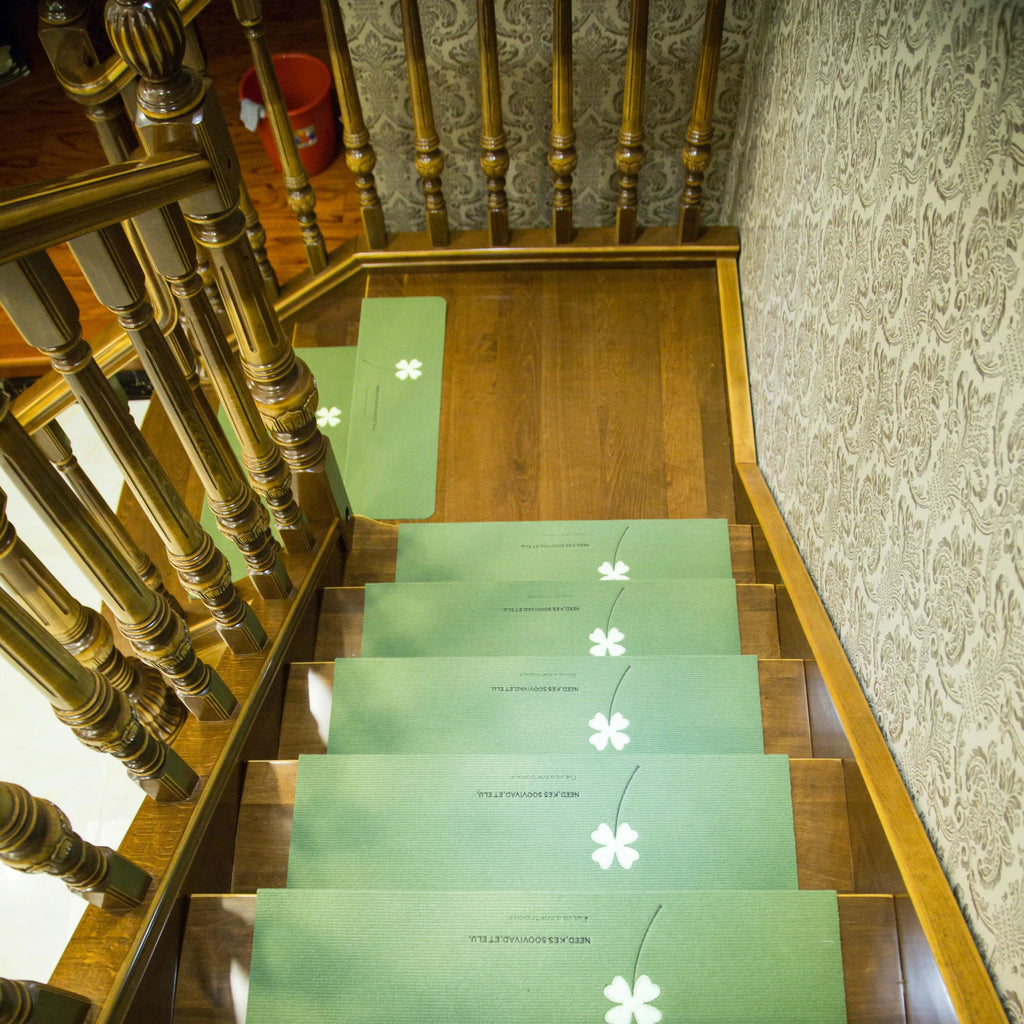 Set of 2 Non-Slip See Through Carpet Stair Treads