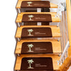 Image of Set of 2 Non-Slip See Through Carpet Stair Treads